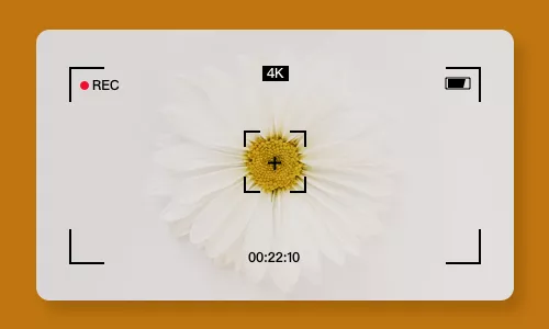 create camcorder effect