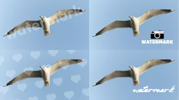 how to watermark photos